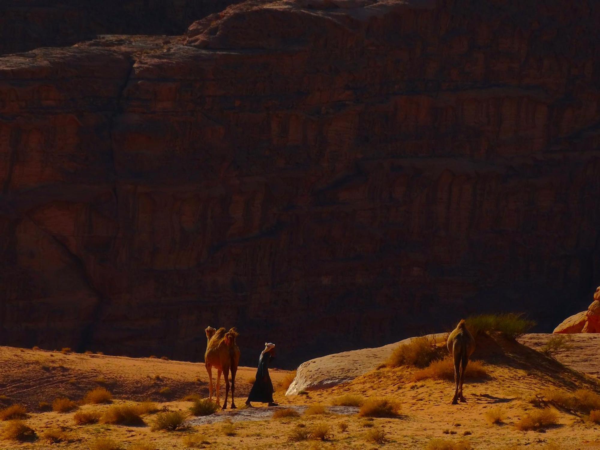 Wadi Rum View Camp Esterno foto