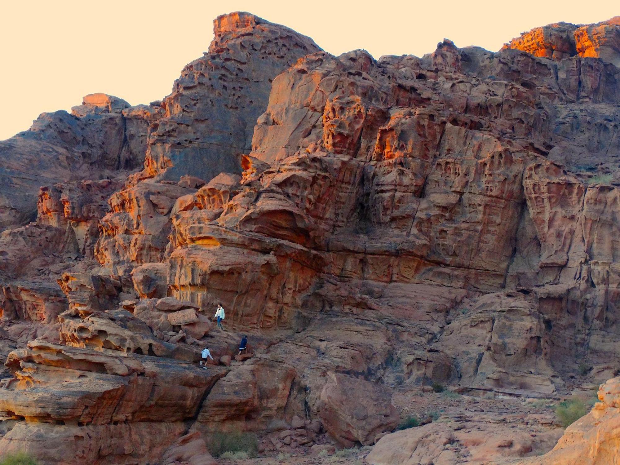 Wadi Rum View Camp Esterno foto