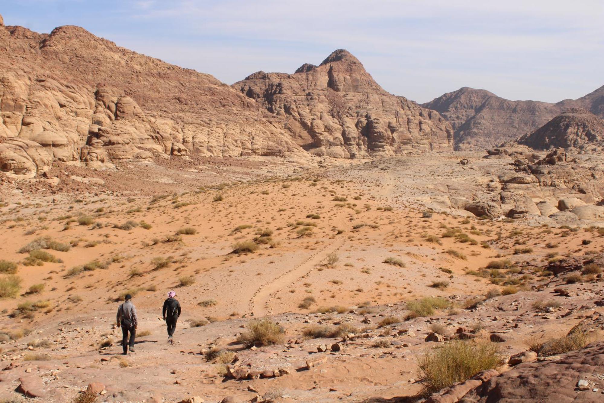 Wadi Rum View Camp Esterno foto